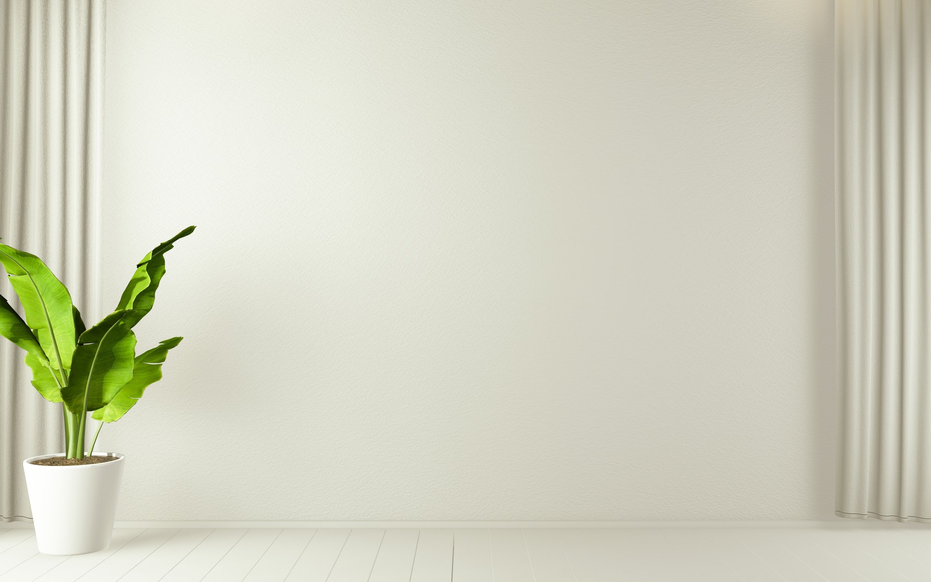 Empty Room With a Potted Houseplant